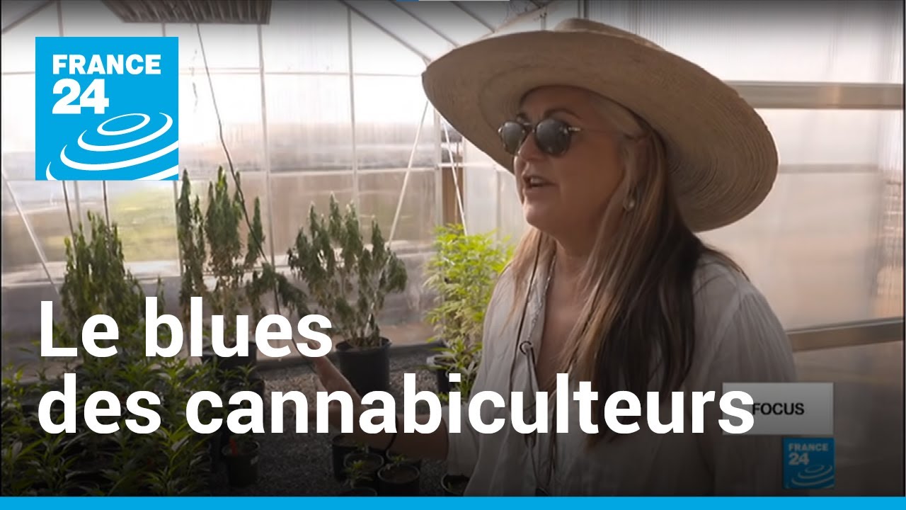 Californie, le blues des 