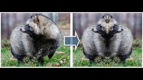 #fast  #image #mirror #left with #my #pure #python #graphics #library