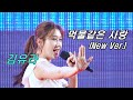 김유라 2025 먹물같은 사랑 New Ver 서광사 산사음악회