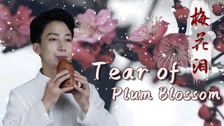 Download Lagu 梅花淚 Tear of Plum Blossom | 超級好聽的中文歌曲 | 誰說梅花沒有淚?| 塤翻奏 MP3 Download Lagu 梅花淚 Tear of Plum Blossom | 超級好聽的中文歌曲 | 誰說梅花沒有淚?| 塤翻奏 MP3