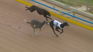 TRA MON 22 JAN 24 ST3