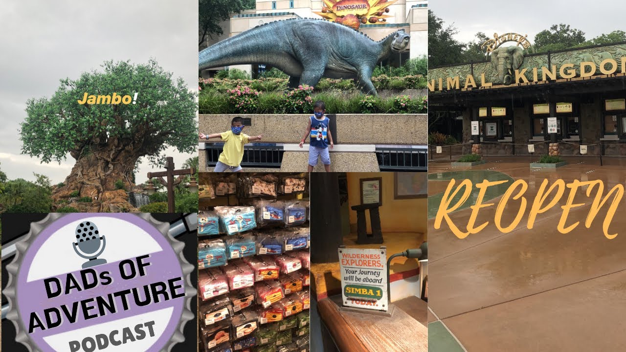 Walt Disney World Reopening Animal Kingdom Discussion- New Procedures