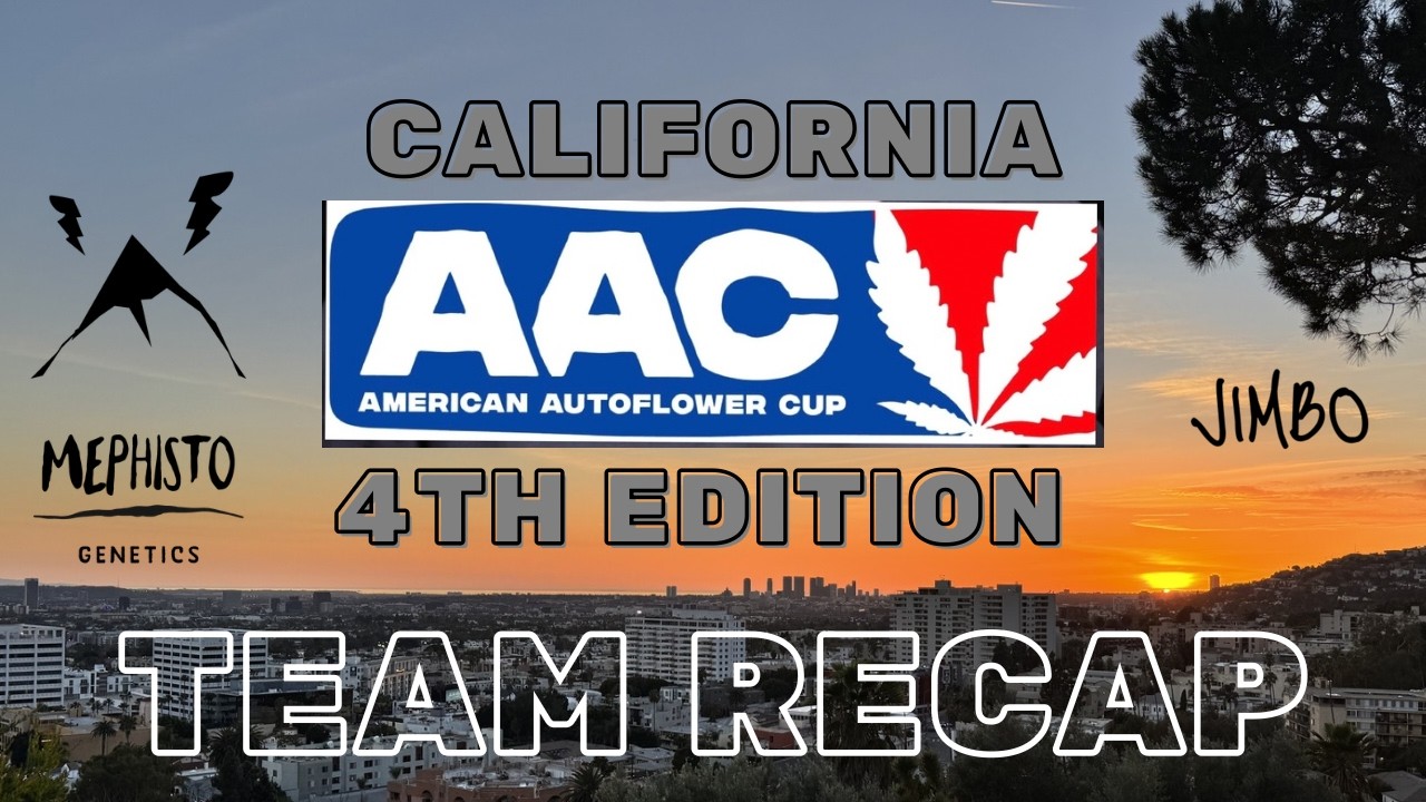 Mephisto Genetics WINS at the 2026 American Autoflower Cup!