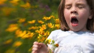 Allergy Season Getting Worse Lasting Longer