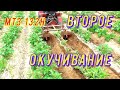 Второе,и возможно последнее,окучивание картофеля