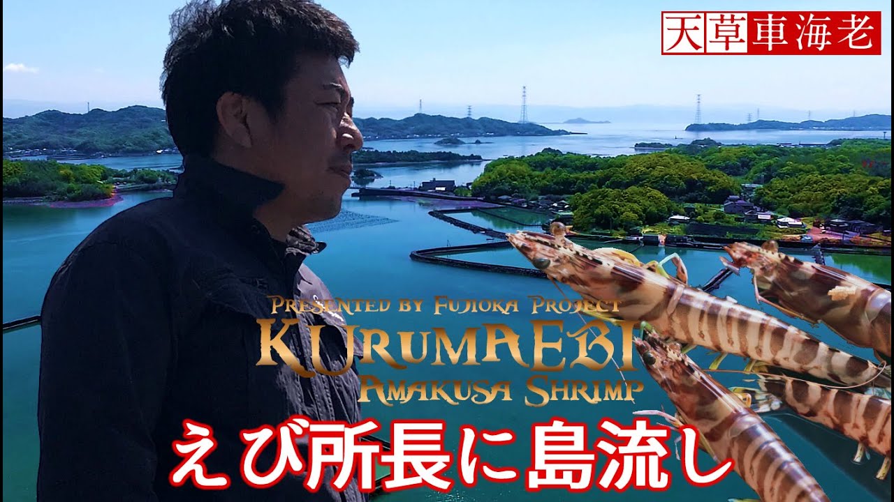 指令 天草でエビを育てろ 島流し 所長の人生物語 車海老 熊本県天草 ブランド 車エビ 養殖場 くるまえび Japanese Prawn Shrimp Made In Japan Youtube
