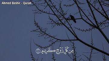 القارئ ياسر الدوسري - من سورة لقمان - خلق السماوات بغير عمد ترونها والقى في الارض رواسي ان تميد بكم