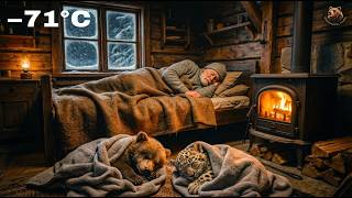 A Peaceful Night Turned Into A Rescue Old Man Saves Bear Cub And Snow Leopard