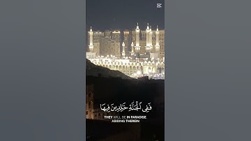 #سورة_الرحمن #سورة_البقرة #سبحان_الله #سورة_يس