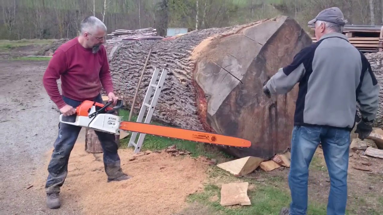 Stihl ms 880 150cm vs big oak log - YouTube