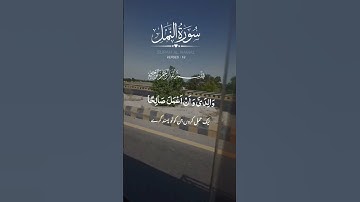 Surah An Naml سورة النمل  Surah An Namal