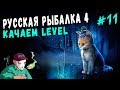 Russian Fishing 4/Русская рыбалка 4 Продолжаем качать новый аккаунт