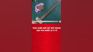 Cỏ Mỹ Như Ma Dược, Khiến Thanh Niên Loạn Thần Vô Cớ Phá Nát Nhiều Ô Tô