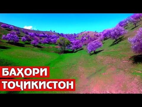 Тоҷикистон, сабзмарзи гулсириштам... / Tajikistan Nature