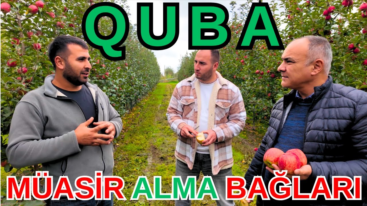 SUPER İNTENSİV ALMA BAĞLARI