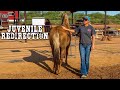 Sheriff's Juvenile Redirection Program