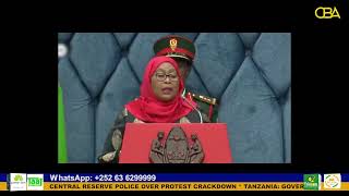 Tanzania: Government to start new constitution drafting process after 2025 polls