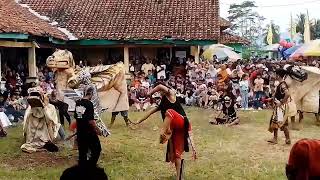 Topeng Penthul/Buto/Manuk Garuda/Barongan Mendem Ebeg Turonggo Budoyo Pulasari Danaraja Purwonegoro