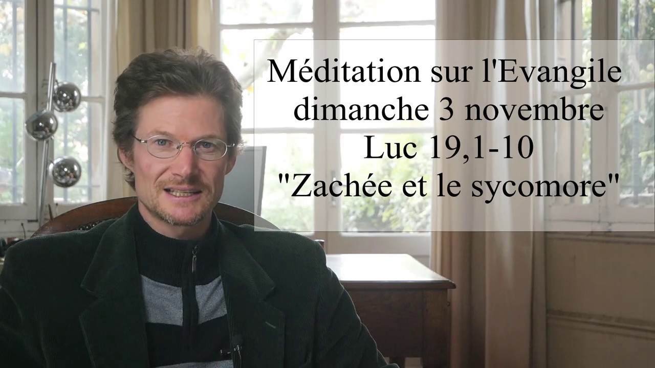 Zachée dans le sycomore. La folie dans les Évangiles. Méditation sur Luc 19,1-10.