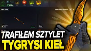 TRAFIŁEM SZTYLET | TYGRYSI KIEŁ Z BITWY NA G4SKINS! +100.000 ŻETONÓW NA BREAKER!