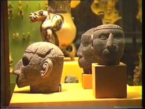 Vídeo: Museu Americà d'Història Natural