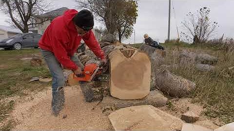 Echo CS 7310 P ported chainsaw.