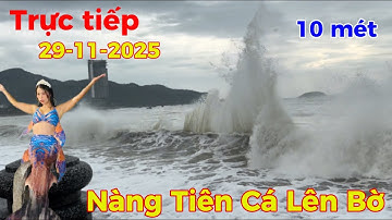 Chuyện lạ Nha Trang bão số 15 sóng dữ cao 10 mét “Nàng Tiên Cá Lên Bờ “ lúc 12h đêm hiện tượng lạ