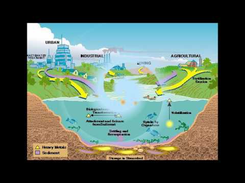 Water pollution with mercury and other toxins - all fish toxic   - mercu...