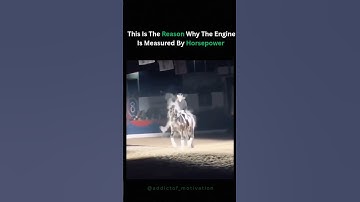 The reason why the engine is measured by horsepower #horse #horsepower #engine #aura