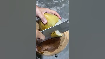 Lần đầu tiên gặp trái dừa xiêm lùn như thế này và kết thúc không ngờ tới.  #lùnvlog #coconut