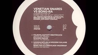Venetian Snares - Szerencsetlen &amp; Masodik galamb (Bong-Ra Remix)