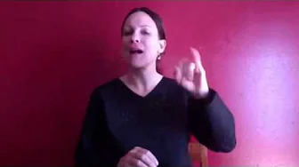 VRS Sign Language Interpreters: An Appropriate Legal Tool?