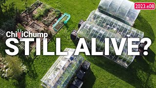 Chilli Plants Still Going!? - Garden Update (2023.e08) by ChilliChump 10,059 views 6 months ago 13 minutes, 50 seconds