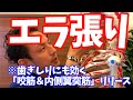 ガチガチの【エラ張り】【歯ぎしり】に効く、「咬筋&内側翼突筋」リリース【大分市 腰痛治療家 GENRYU ( 安部元隆 )】