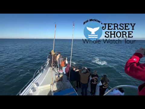 New Jersey Class Trip idea 2023 #shorts whale watching Belmar