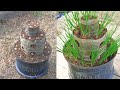 Recycled Plastic Bottles Growing Green Onions