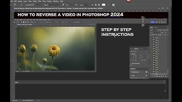 How to reverse a video in Photoshop 2024