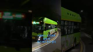 Seoul Bus screenshot 2
