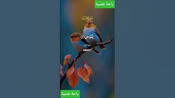 سورة طه #اكسبلور #المصحف #قرآن #دويتو #duet #لايك #حالات_واتس #تيك_توك #bhfyp #راحة_نفسية