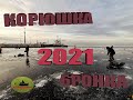 Корюшка БРОНКА рыбалка 2021