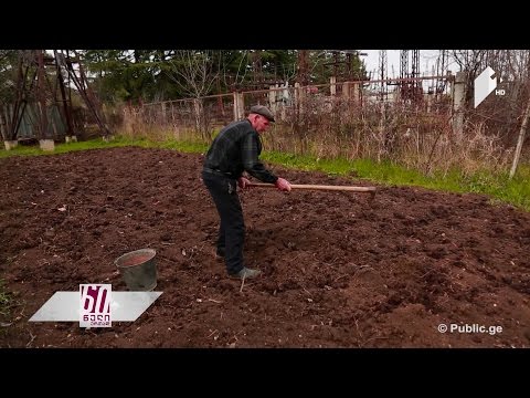 რა პრობლემის წინაშე დგას საქართველო სასურსათო და კვების უსაფრთხოების მიმართულებით