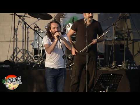 Niyazi Koyuncu -