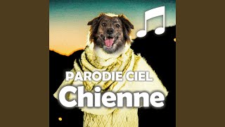 Chienne Parodie Ciel