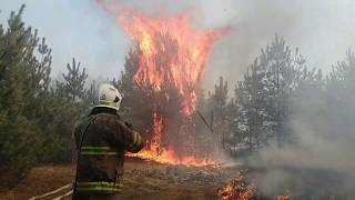 Пожежа в лісі м.Сарни (Дослідна станція) 26.03.2020