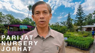 Plant Nursery Tour | PARIJAT NURSERY JORHAT | Assamese Indigenous Plants Guide | First Video Plant Nursery Tour | PARIJAT NURSERY JORHAT | Assamese Indigenous Plants Guide | First Video