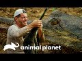 Escalofriante hallazgo de un cocodrilo gavial | Wild Frank en India | Animal Planet