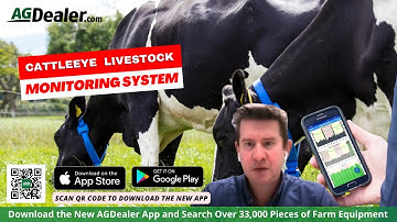 Livestock Monitoring System By CattleEye | Cattle Tracking System with AI