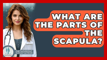 What Are The Parts Of The Scapula? - Orthopedic Support Network