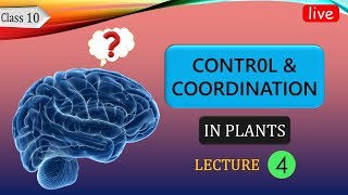 Control and Coordination | HUMAN BRAIN | Class 10 Science UP/CBSE Board (Hindi) Part-4