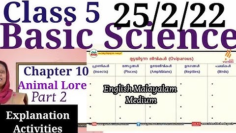 Class 5 Basic Science Worksheet 25/2/22|Class 5 Basic Science chapter 10 Part 2 Activities@educutz131